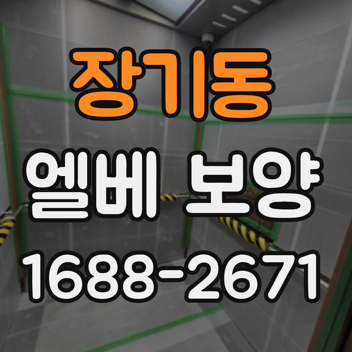 장기동 엘베 보양