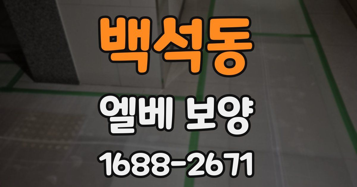 백석동 엘베 보양