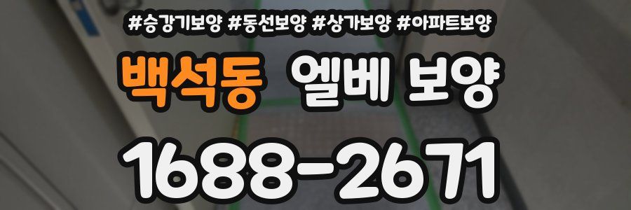 백석동 엘베 보양