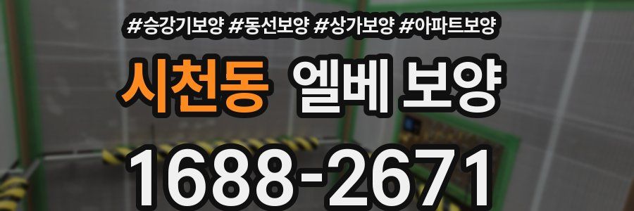 시천동 엘베 보양