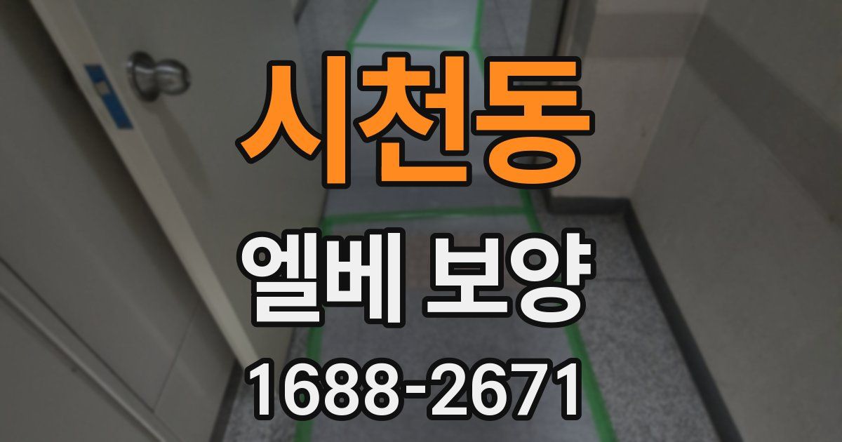 시천동 엘베 보양