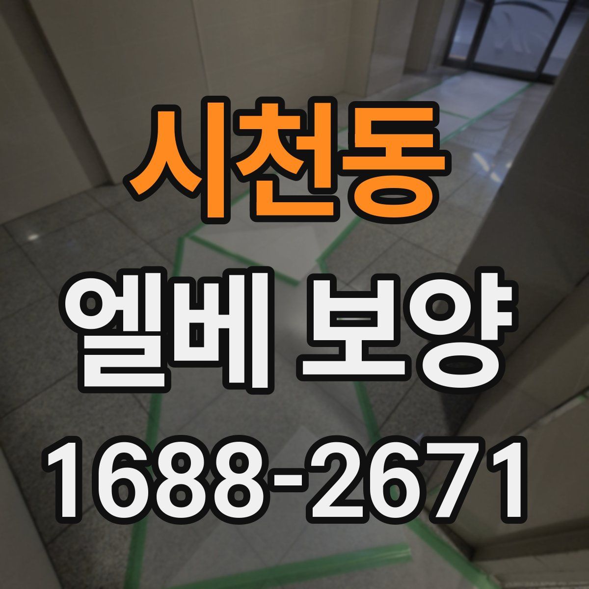 시천동 엘베 보양