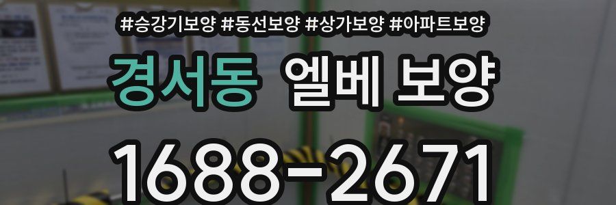 경서동 엘베 보양