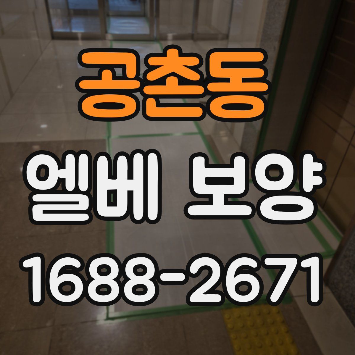 공촌동 엘베 보양