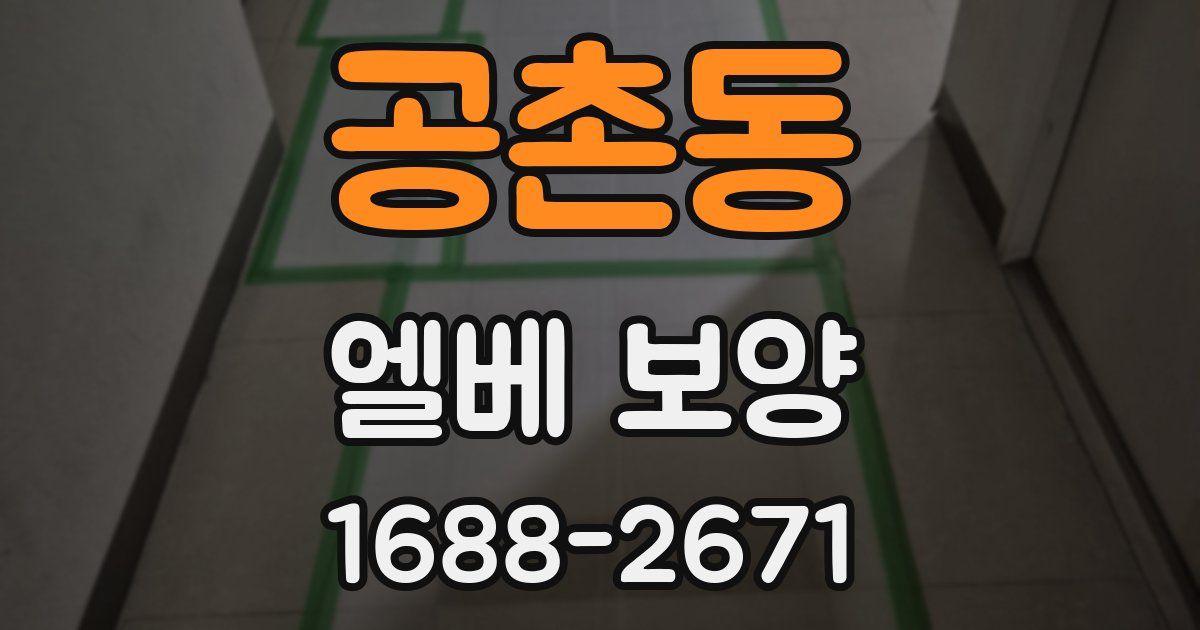 공촌동 엘베 보양