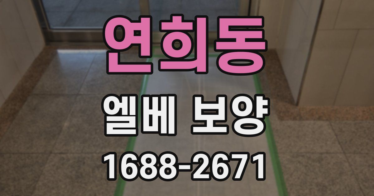 연희동 엘베 보양
