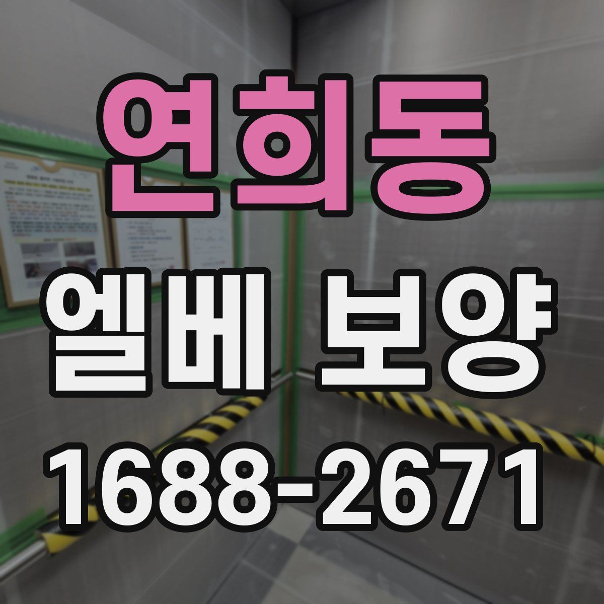 연희동 엘베 보양