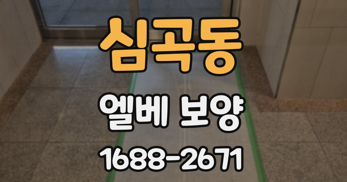 심곡동 엘베 보양