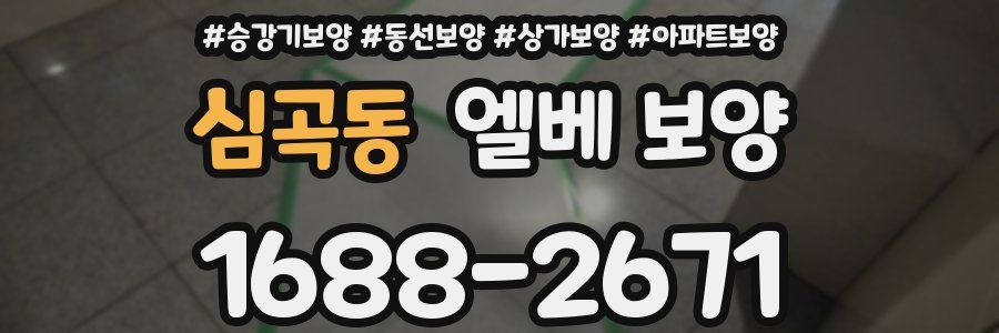 심곡동 엘베 보양