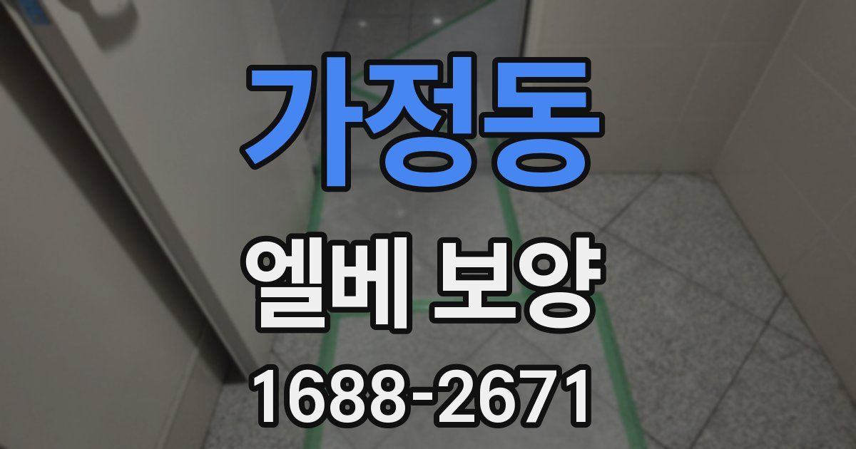 가정동 엘베 보양