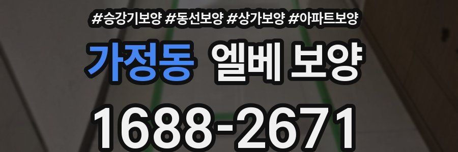 가정동 엘베 보양