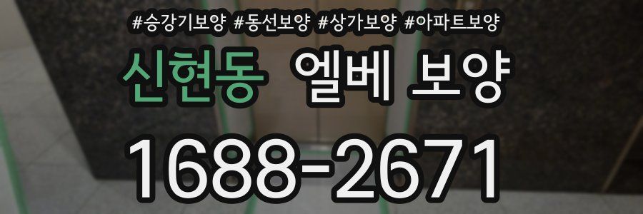신현동 엘베 보양