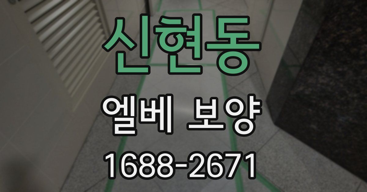 신현동 엘베 보양