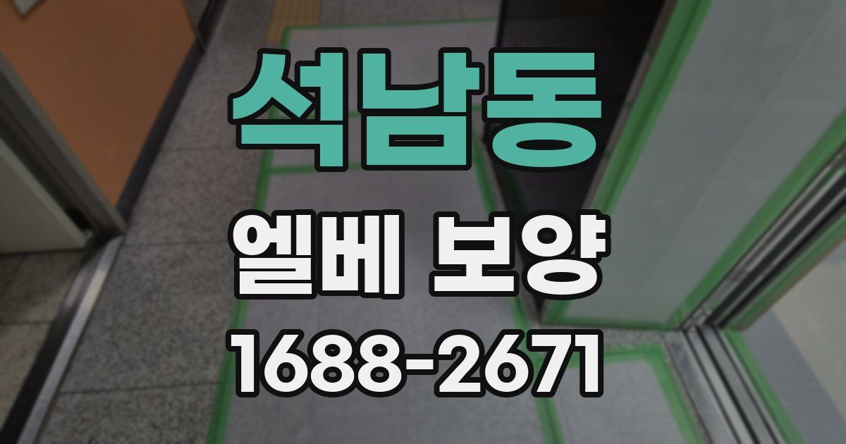 석남동 엘베 보양