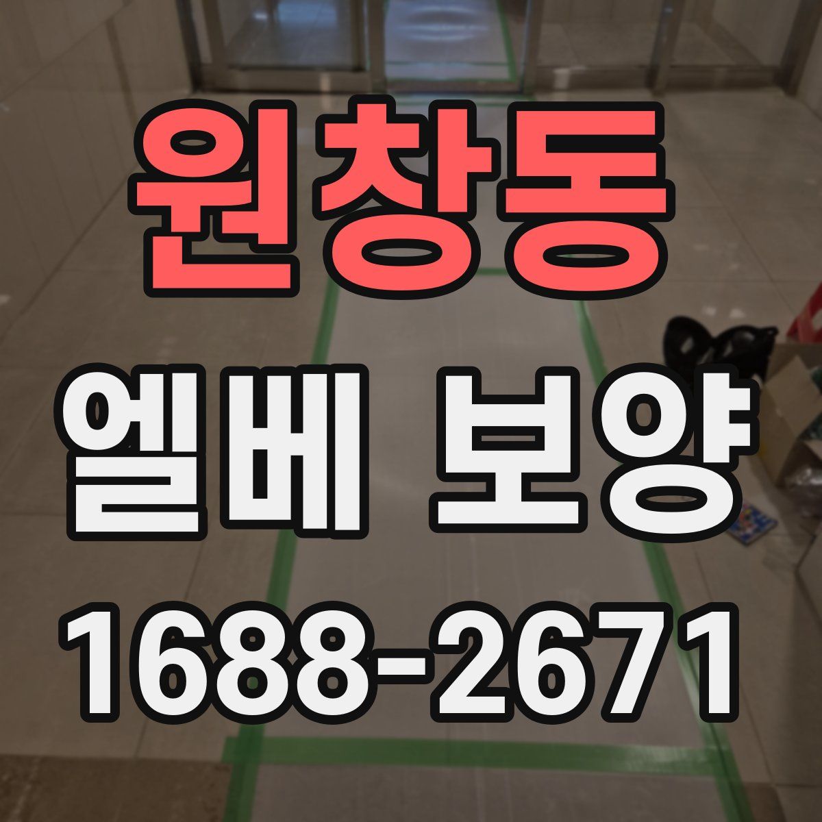 원창동 엘베 보양