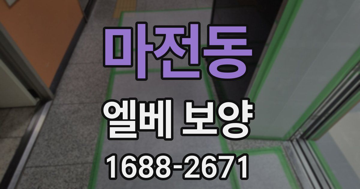 마전동 엘베 보양