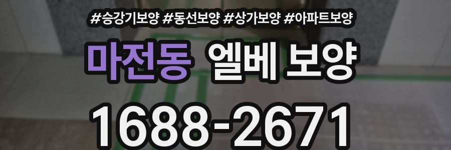 마전동 엘베 보양