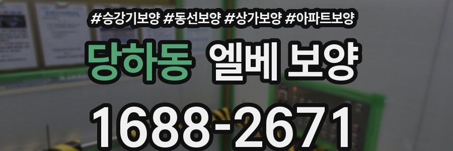당하동 엘베 보양