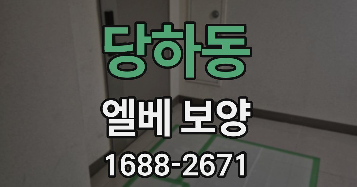 당하동 엘베 보양