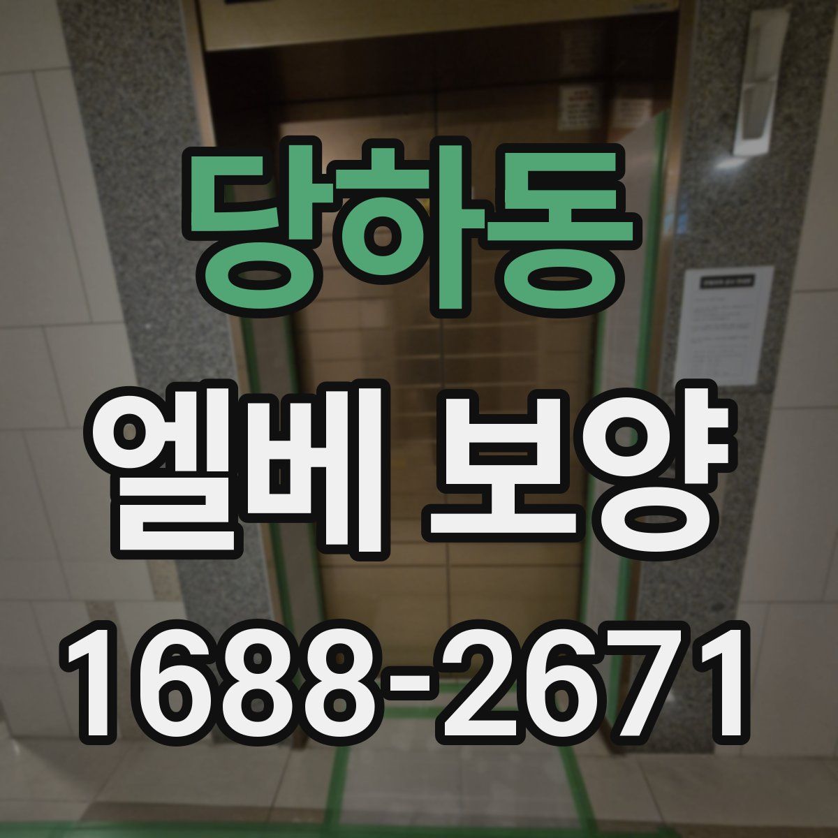 당하동 엘베 보양