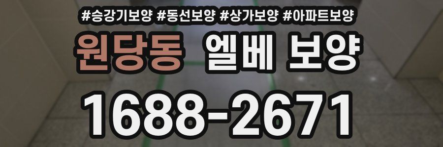 원당동 엘베 보양