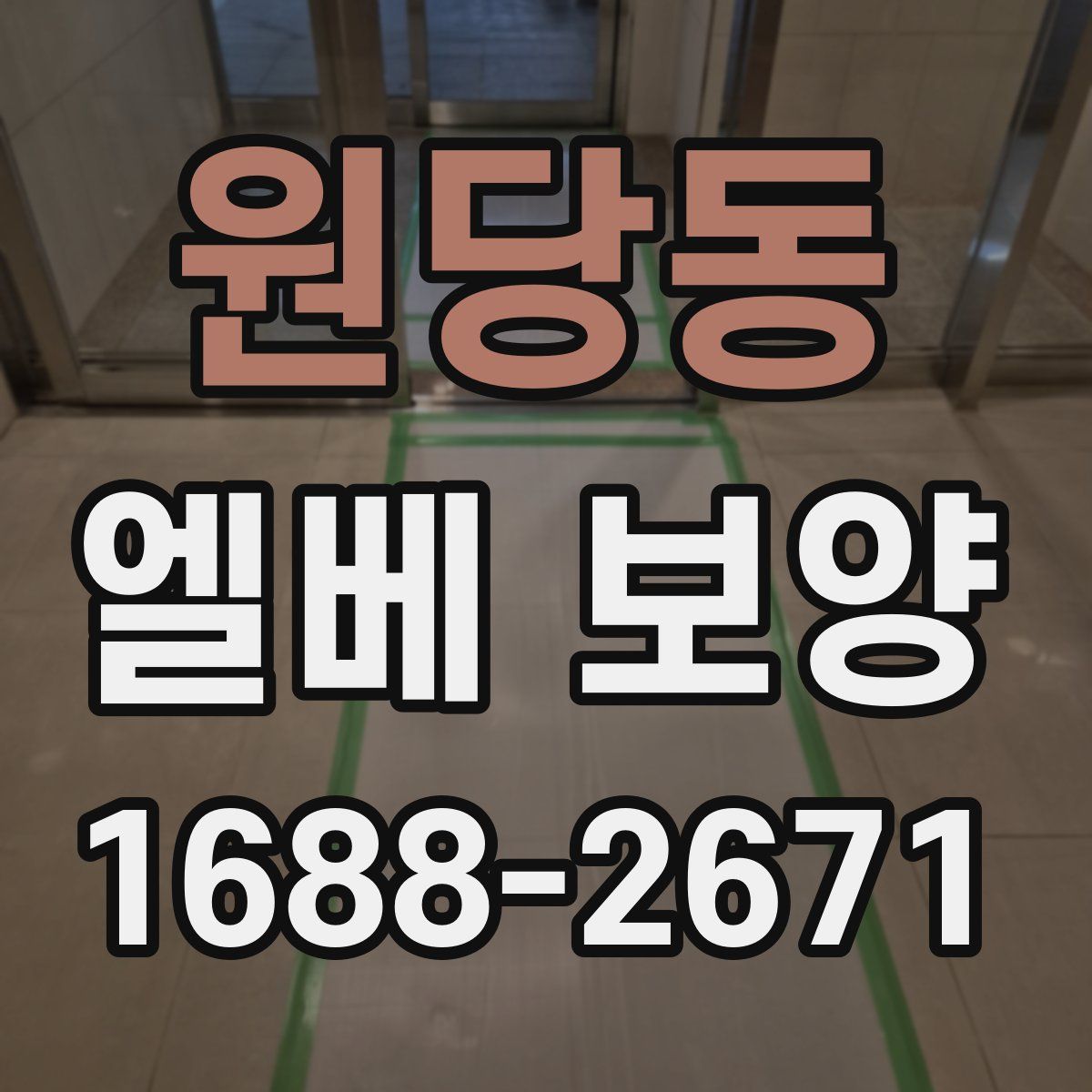 원당동 엘베 보양