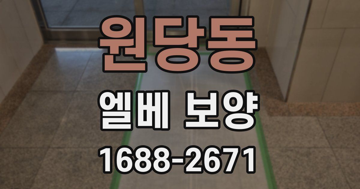 원당동 엘베 보양