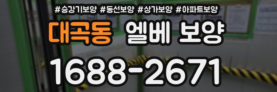 대곡동 엘베 보양