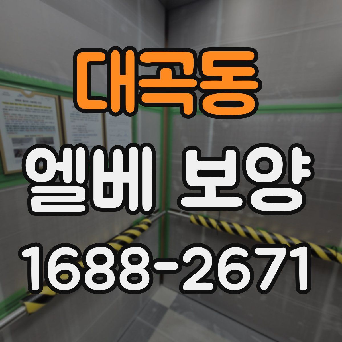 대곡동 엘베 보양