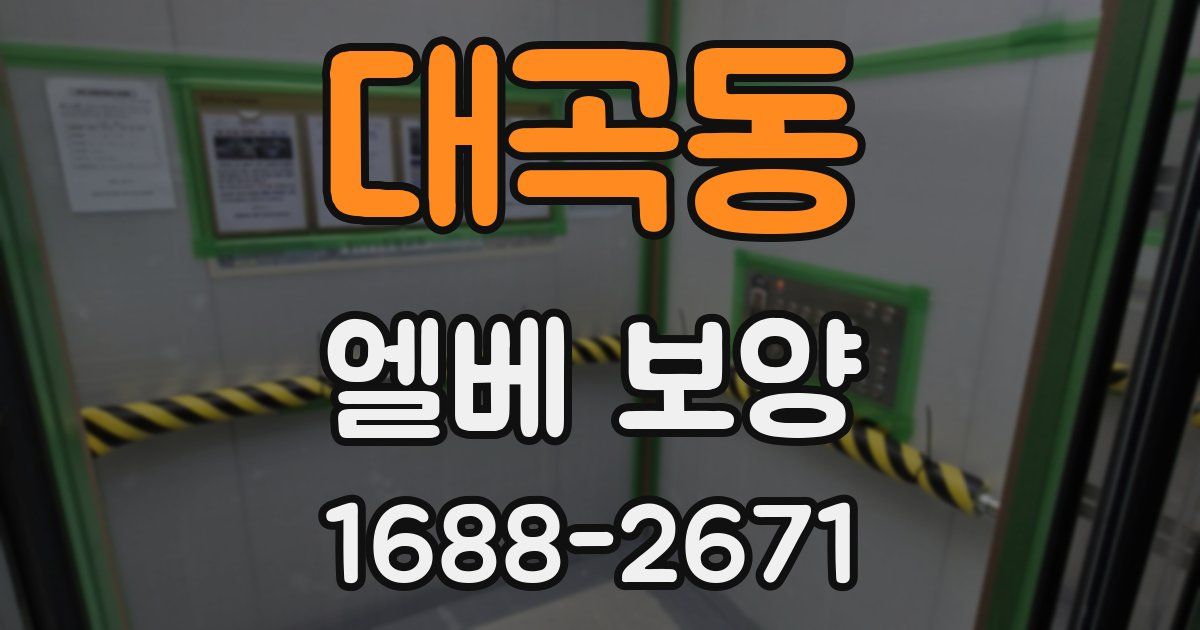 대곡동 엘베 보양