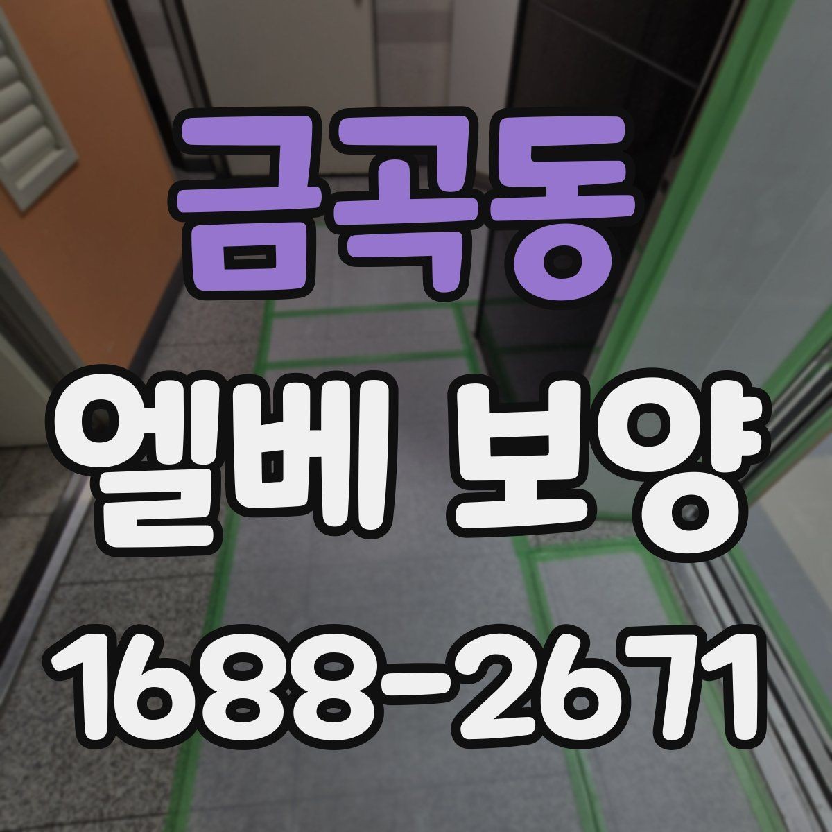 금곡동 엘베 보양 공사 전후 꼭 확인할 구역 정리