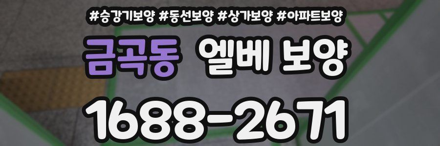금곡동 엘베 보양