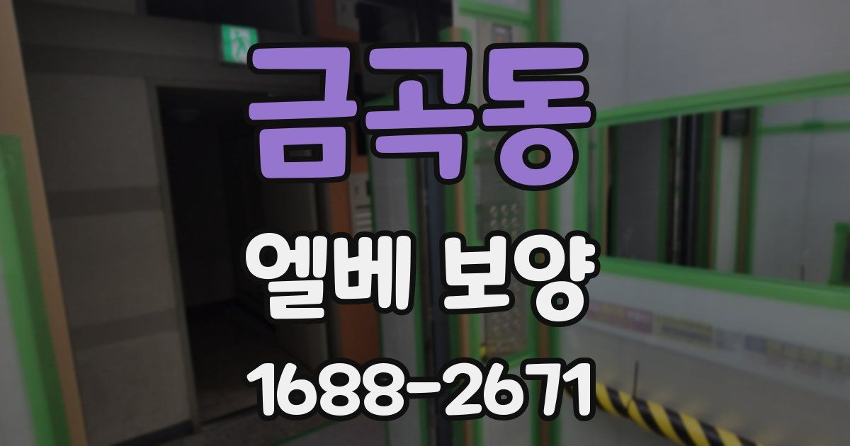 금곡동 엘베 보양