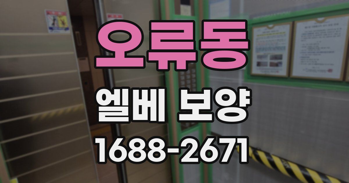 오류동 엘베 보양