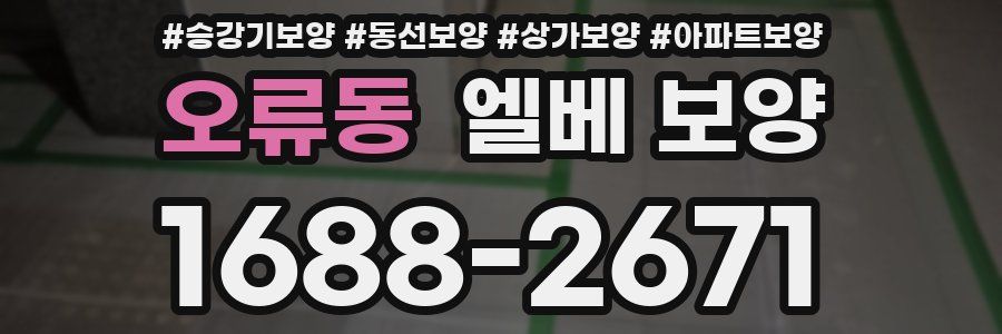 오류동 엘베 보양