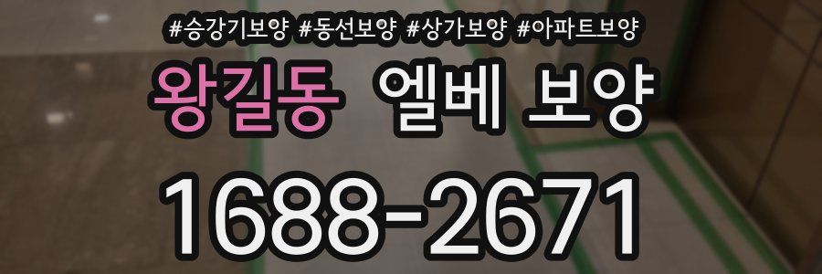 왕길동 엘베 보양