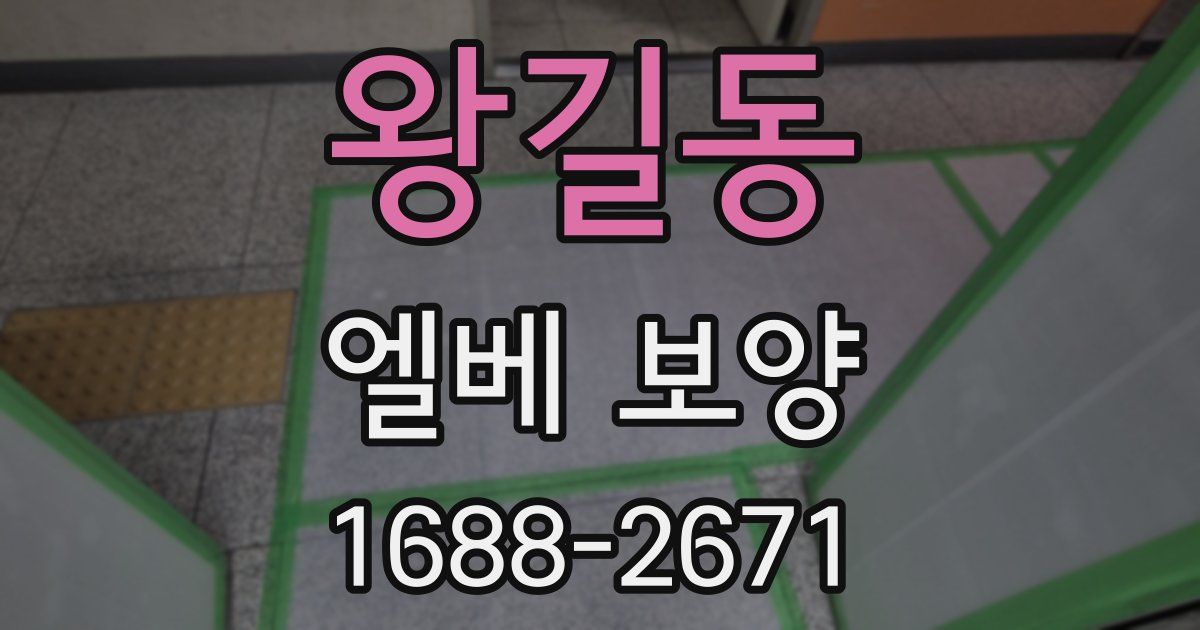왕길동 엘베 보양