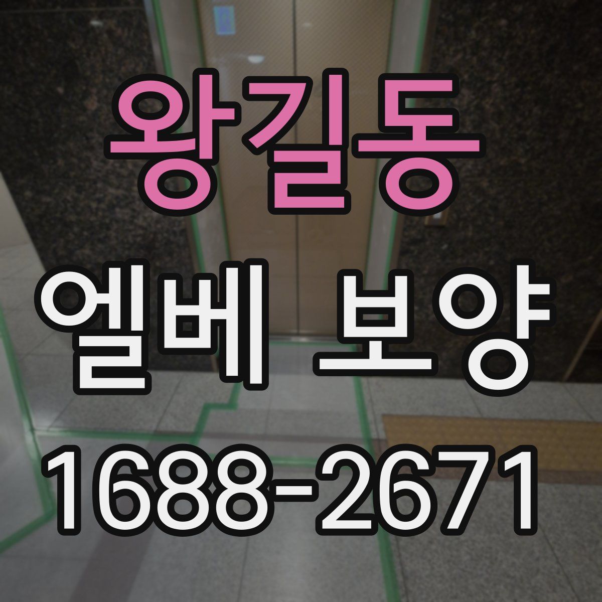 왕길동 엘베 보양