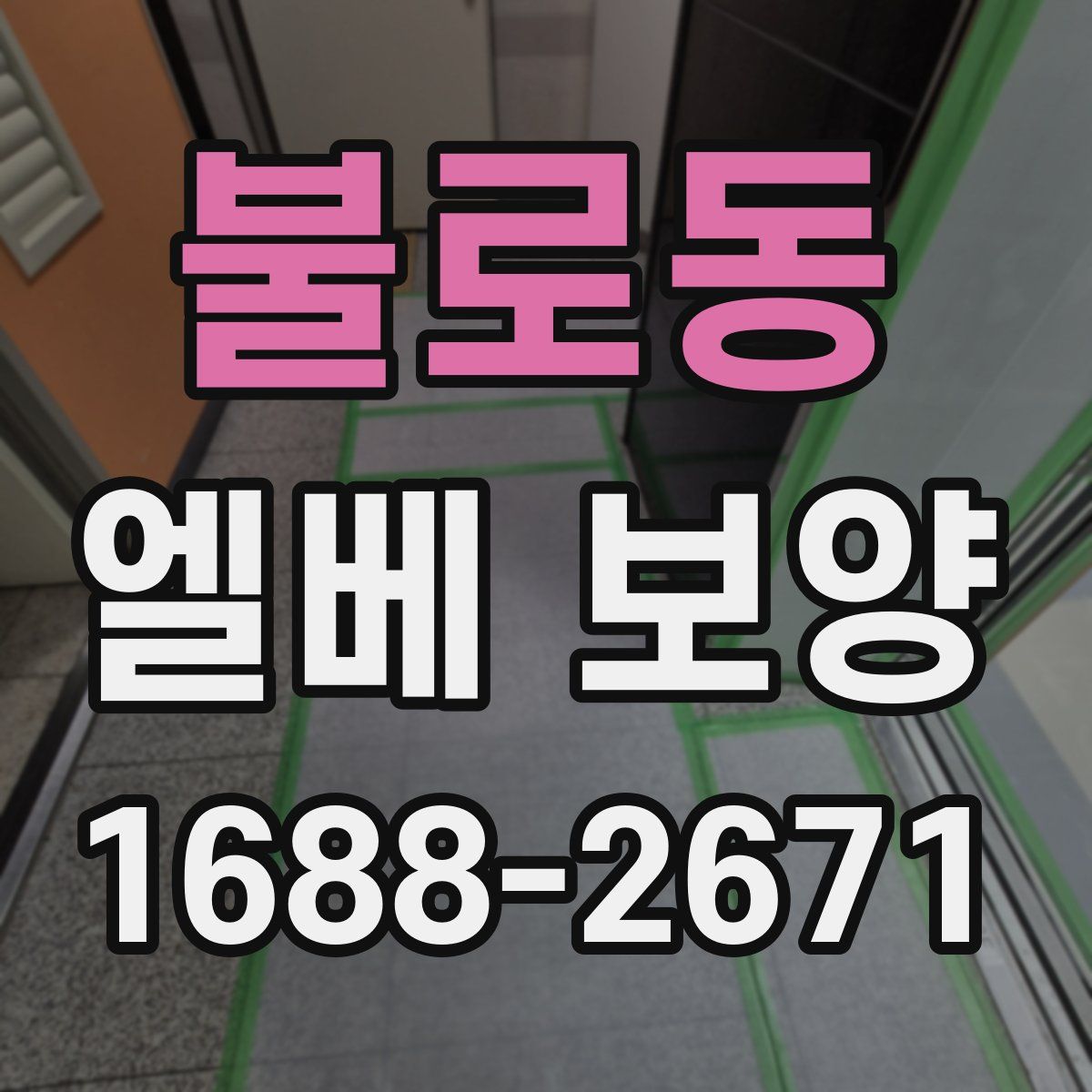 불로동 엘베 보양