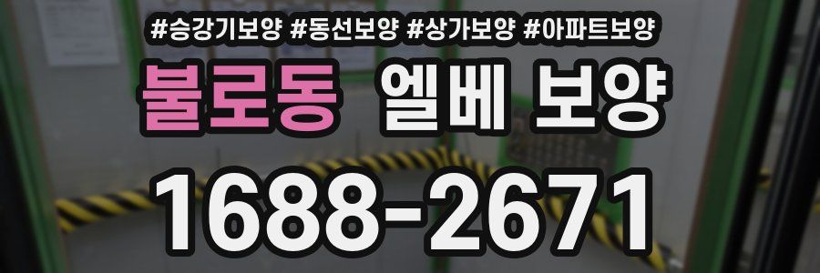 불로동 엘베 보양