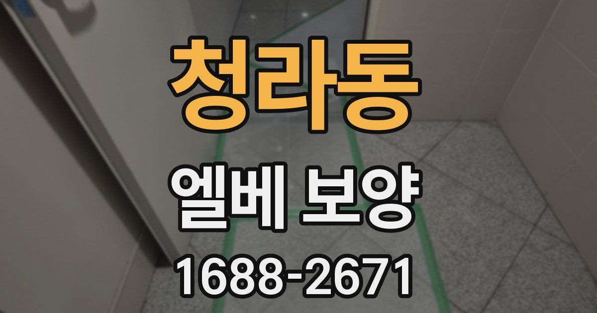 청라동 엘베 보양