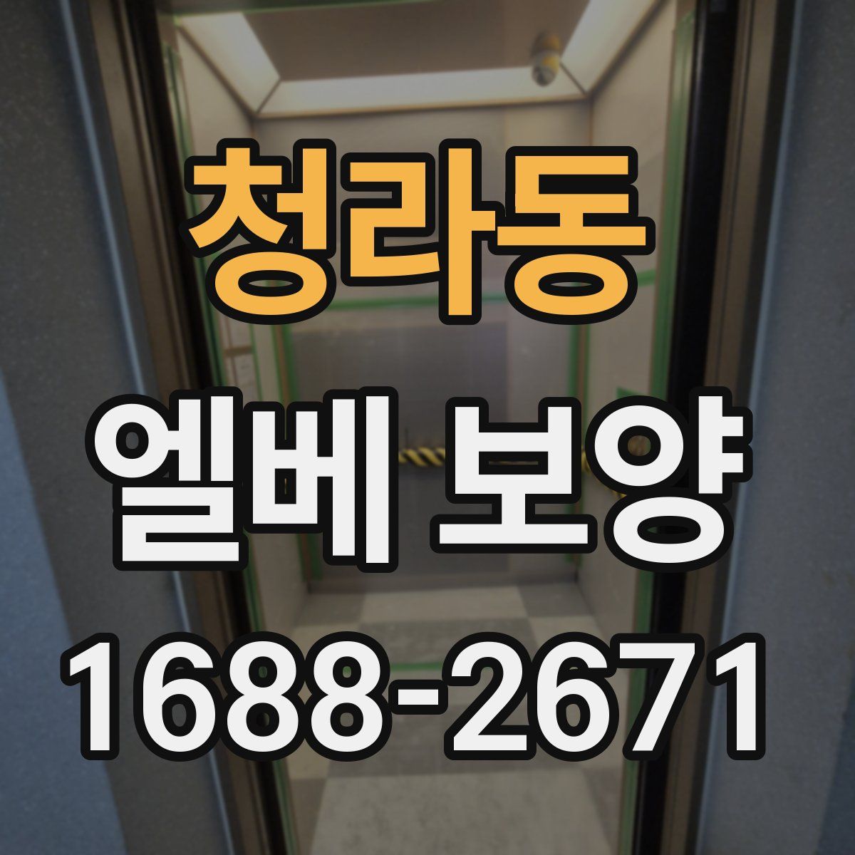 청라동 엘베 보양