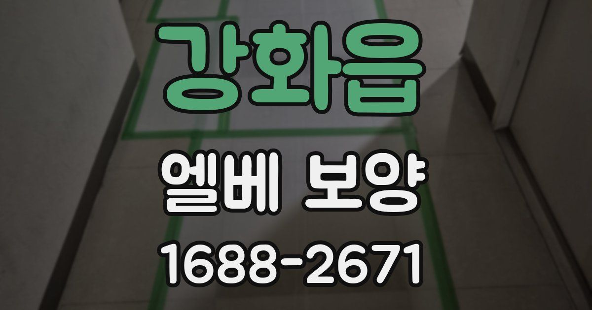강화읍 엘베 보양
