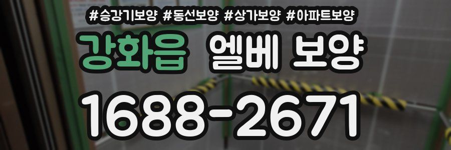 강화읍 엘베 보양