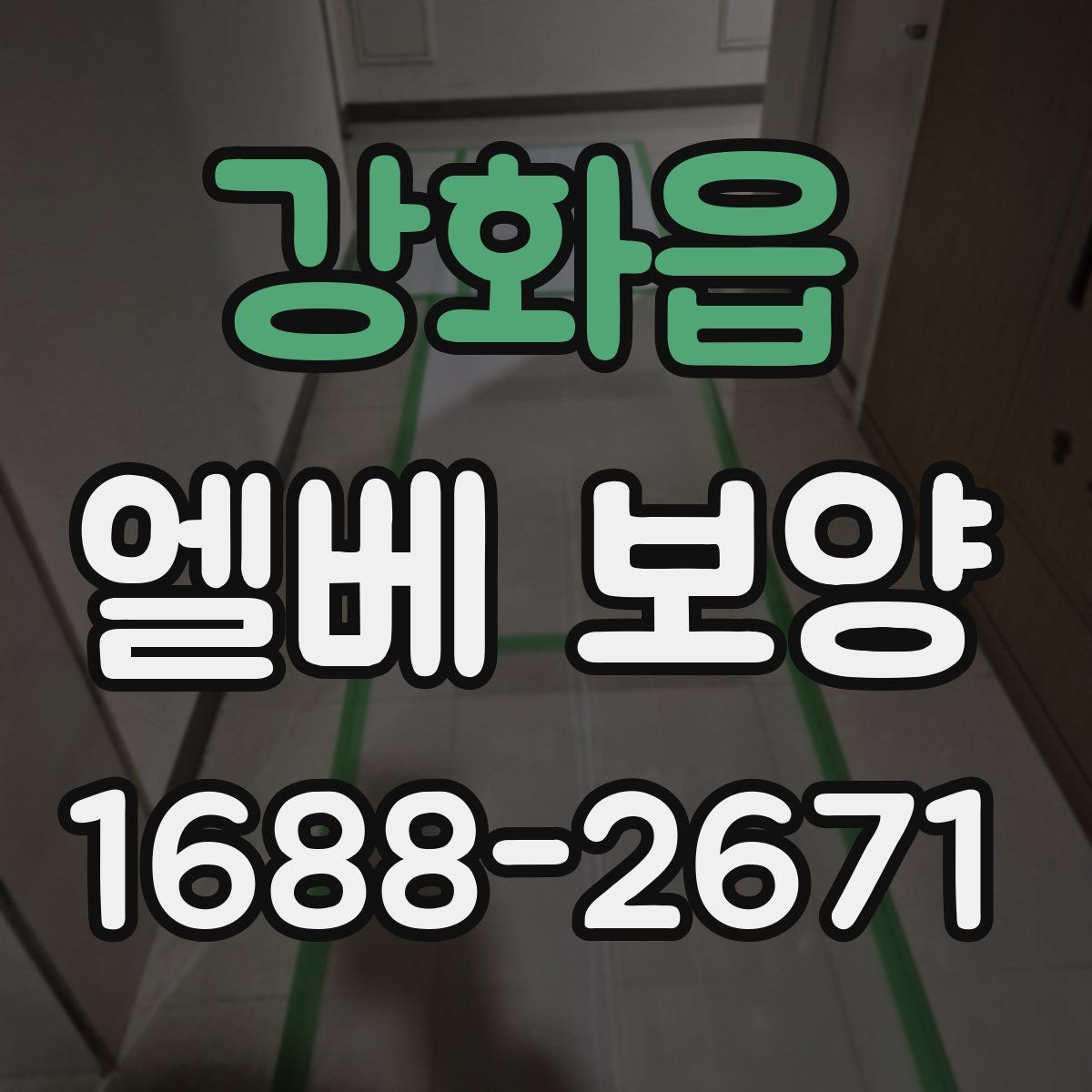 강화읍 엘베 보양