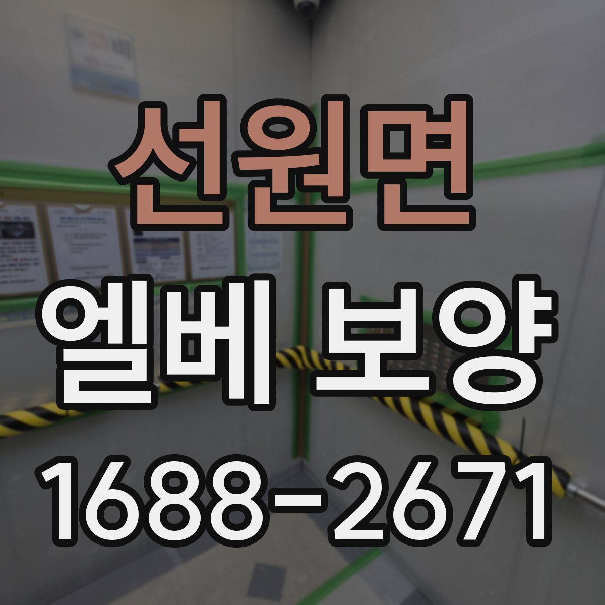 선원면 엘베 보양