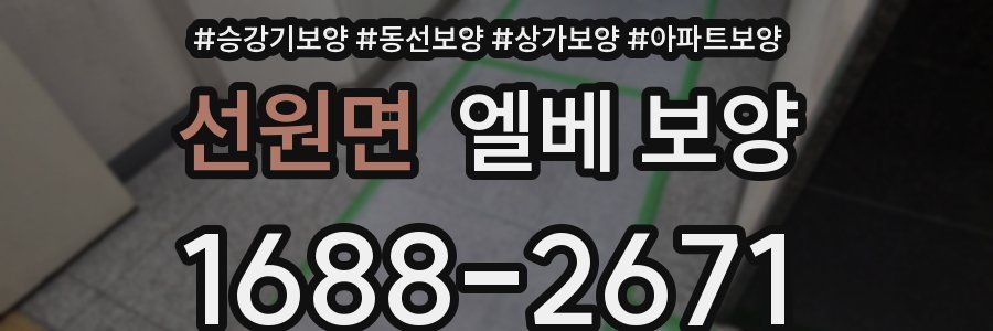 선원면 엘베 보양