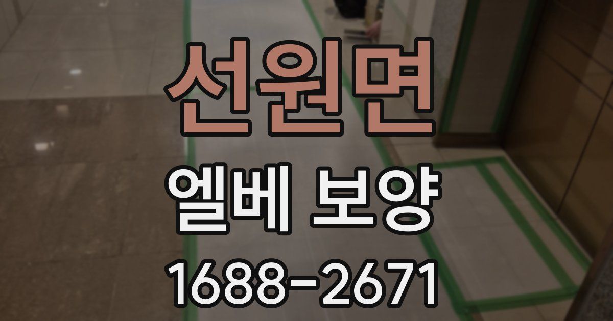 선원면 엘베 보양