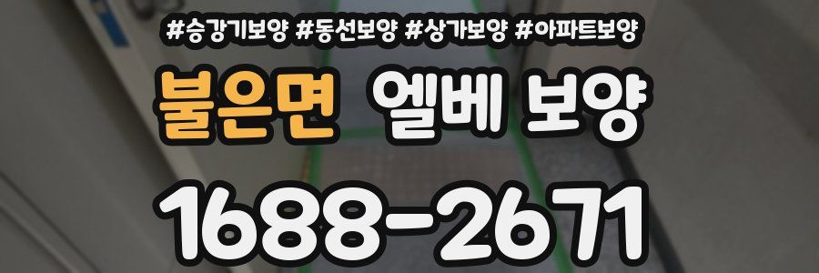 불은면 엘베 보양
