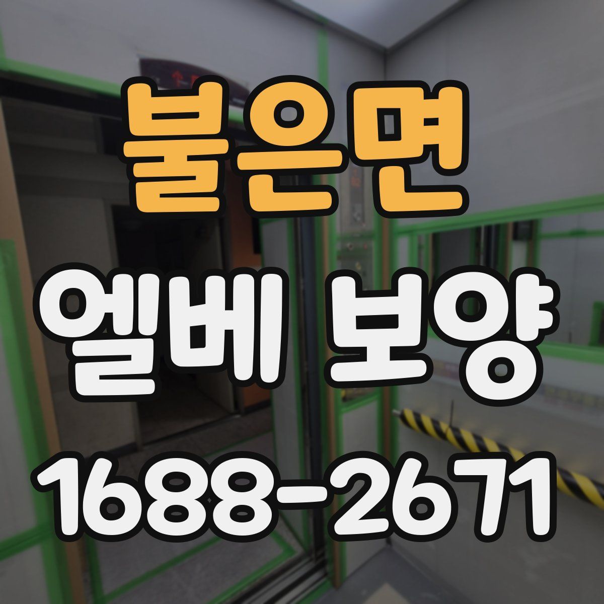 불은면 엘베 보양